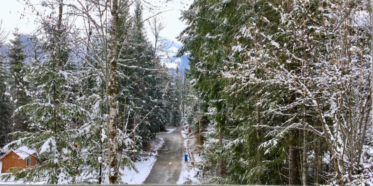 Packwood Ski&Vacation Getaway Zewnętrze zdjęcie